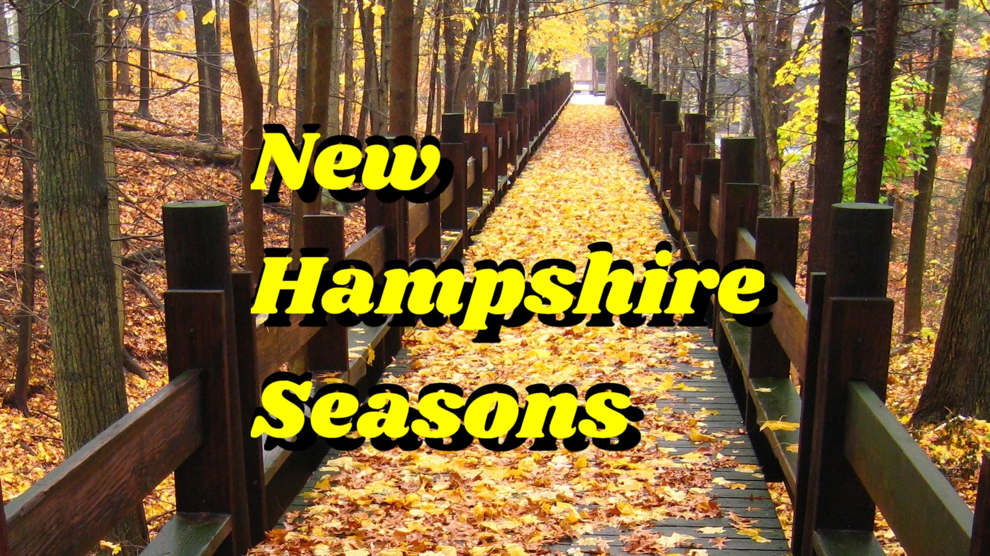 New Hampshire Seasons poster
